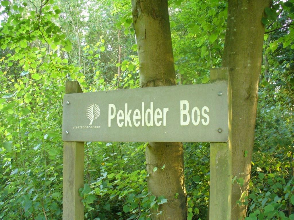 Oude Pekela B&B De Wiekeborg المظهر الخارجي الصورة